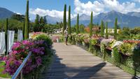 Garten von Schloß Trauttmansdorff