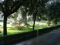 Gartenpflege