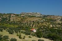 Gerace (1)