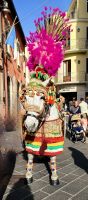 Geschmücktes Pferd in Taormina