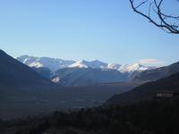 Goldrain (2)