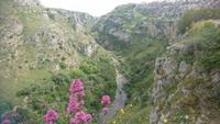 Gravina Schlucht