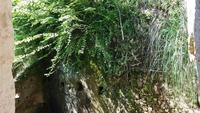 Grotten von Zungri 20190419 100952