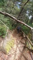 Gruppe beim Wandern, Gargano Nationalpark
