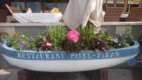 Hübscher Blumenkasten, Piran, Slowenien