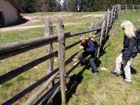 Heike, Margit