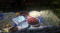 Heimreise (Zwischenstopp am Tegernsee - Abschieds-Picknick)