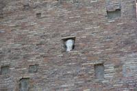 Hildegard von Canossa schaut aus ihrem Haus