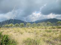 Hinterland