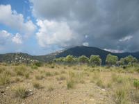 Hinterland
