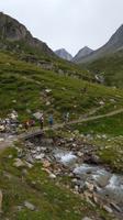 Hohe Wilde