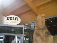 Holzschnitzerei Dolfi Land