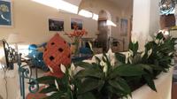 Hotel Tritone 