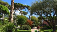 Hotel Tritone 