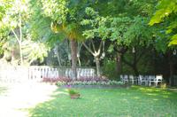 Hotel Villa Luppis 