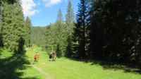 IMG 0275