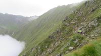 IMG_0926