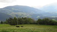 IMG_1025