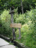 IMG_1754