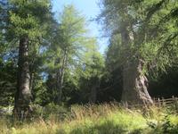 IMG_1825