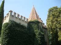 IMG_1917