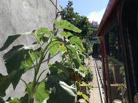 IMG_20170904_123957