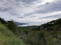 IMG_20190528_100121