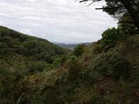 IMG_20190528_102827