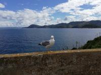 IMG_20190529_103938