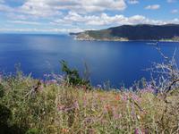 IMG_20190530_114114