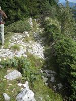 IMG_3279