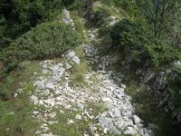 IMG_3280