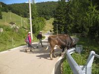 IMG_3282