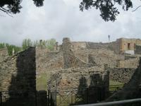 IMG_3731