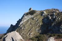IMG_3763