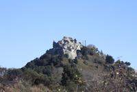 IMG_3790