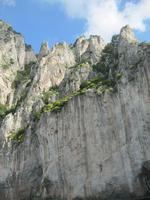 IMG_3790