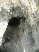 IMG_3796
