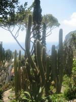 IMG_3811