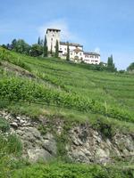 IMG_4199