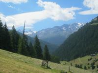 IMG_4247