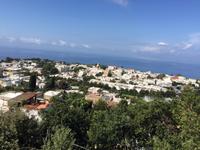 IMG_4733