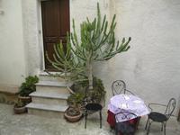 IMG_5485