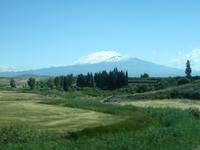 IMG_5751