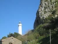 IMG_5835
