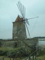 IMG_5915