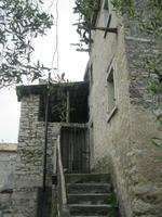 IMG_5972