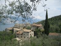 IMG_5980