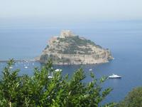 IMG_6497