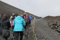 IMG_7288